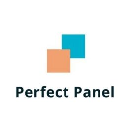 Perfect Panel (create your own SMM panel)