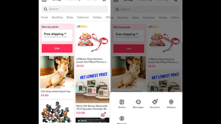 TikTok Tests Dedicated Shopping Feed with Users in Indonesia
